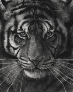 Art Charcoal Art Charcoal