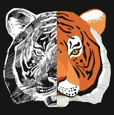 Art Raster Digital Painting