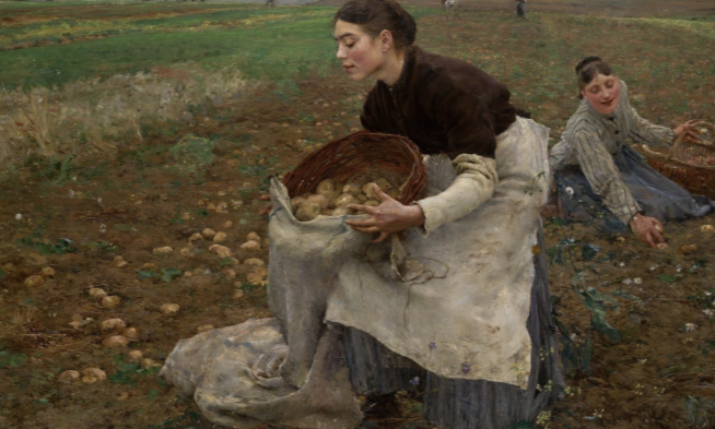 Art Realism Art Realism