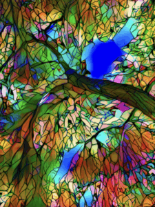 Art Stained glass Art Stained glass