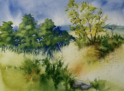 Art Watercolors Art Watercolors