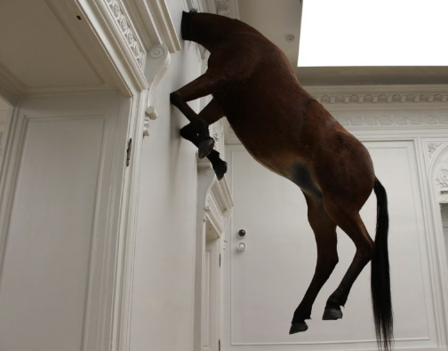 Conceptual Art Conceptual Art